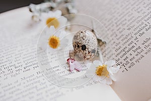 Close-up of a  little spring daisy flower and chamomile quail egg on the background of an old book