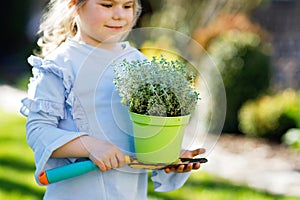 Close-up of little toddler girl holding garden shovel with green plants seedling in hands. Cute child learn gardening