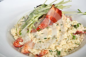 Close up of lobster risotto in a white bowl