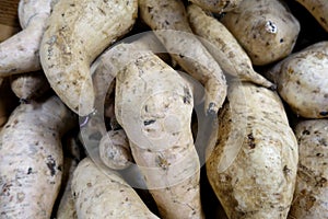 Close-up of local Okinawan Sweet Potato