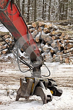 Close up of Log Grapple on Knuckleboom Log loader with Freshly Harvested and piled timber logs