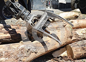 A close-up on log, knuckleboom loader, swing machine forestry equipment is handling logs