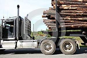 Close up of a logging truck carrying a full load of logs