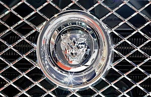 Close up logo of Jaguar on bumper