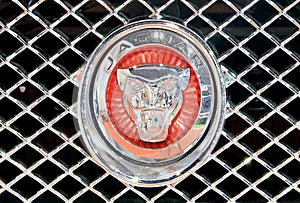 Close up logo of Jaguar on bumper