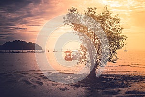 Lonely tree standing on ground surrounded whit sea in twilight tine. photo
