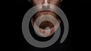 Close up of long beard and mustache of bearded man