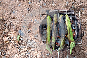 Close-up Long Green Eggplants Barbecue Grilled on Hot Charcoal..Concept Health..Folk life