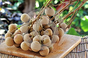 Close up Longan fruit