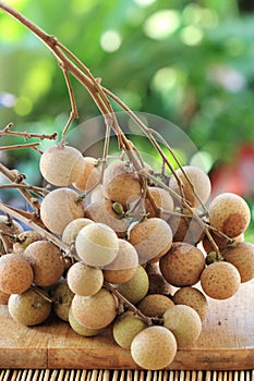 Close up Longan fruit