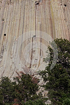 Devils Tower National Monument