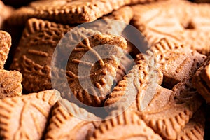 A close up of a lot of brown cookies called speculoos or speculaas in Belgium or the Netherlangs. The spiced biscuit is very