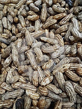 close up of lots of peanuts