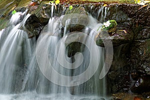 Close-up of a lovely stream and flowers fallen on a mossy rock by the cascading water blurred background effect