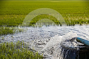 Close-up low angle view of water flowing out of pipes from pumping through concrete basins