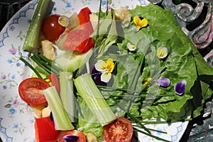 Close-up lunchtime summer salad on plate