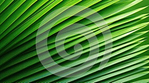 Close-Up of Lush Green Palm Tree Leaf AI Generated