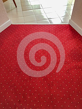 Close-up of the luxurious red carpet on the floor, the interior of the hotel corridor