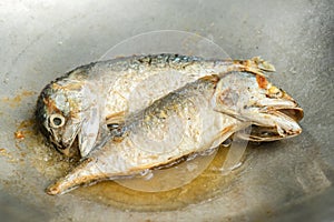Mackerel fish fried  in hot pan