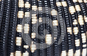 Close-up, macro of the Argentine black and white tegu scales