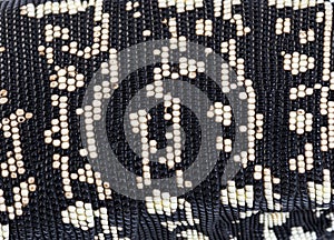 Close-up, macro of the Argentine black and white tegu skin