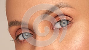 Close-up macro of a beautiful female eye with a perfect eyebrow shape. Clean skin, trendy natural makeup. Good vision