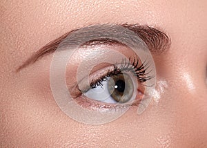 Close-up Macro of Beautiful Female Eye with Perfect Shape Eyebrows. Clean skin, Fashion Naturel Make-Up. Good Vision