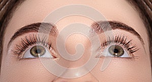 Close-up Macro of Beautiful Female Eye with Perfect Shape Eyebrows. Clean skin, Fashion Naturel Make-Up. Good Vision