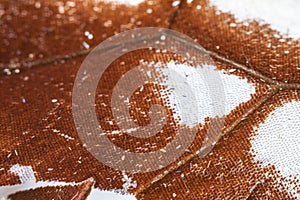 Close Up Macro Of A Butterfly Wing