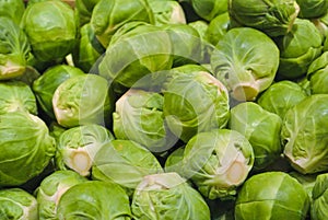 Close up macro of fresh green Ð¸russels sprouts for sale on open