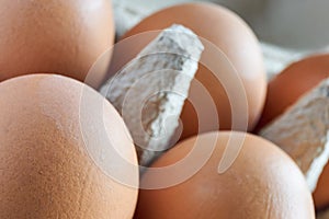 Close-up of brown eggs in a grey egg carton