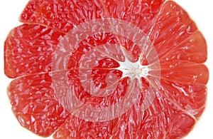 close up and macro of grapefruit textured