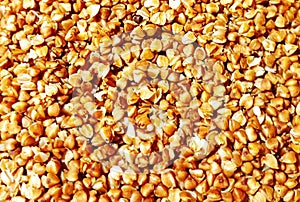 A close-up macro photo of cooked buckwheat grains