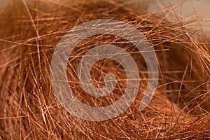 Close up macro red hairs leavings on floor in beauty shop.