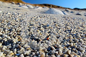 Close-up macro of sand on beach with copy space