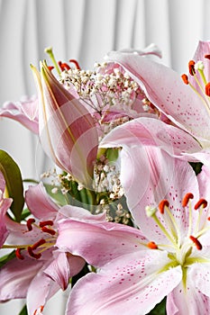 Close-up (macro shoot) of a pink lily bud in sunlight