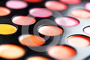 Close-up macro shot of lipgloss palette. Colourful salon cosmetics for makeup artist. Vibrant make-up product. Soft focus