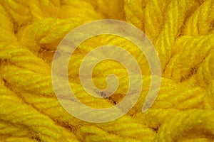 Close-up macro shots a yellow wool thread on the wool thread ball