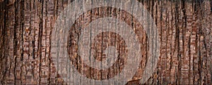 Close-up macro soft light on red brown wood surface texture background.idea for natural material construction,backdrop,vintage or