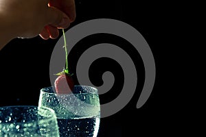 Close up, macro. Someone puts strawberries in a glass with sizzling wine. Isolated on black background. Copy space