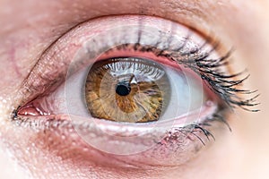 Close up macro view of a brown woman eye pupil retina with makeup