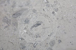 Close up macro view of rough grey stone granite surface detailed nature marble background or pattern texture big size high quality