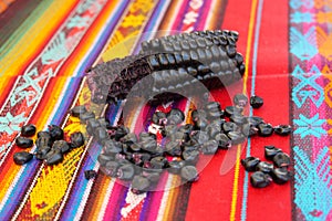 Close up of Maiz Morado, Purple Corn, Zea mays indurata, k\'culli or Black Aztec Corn and corn kernels photo