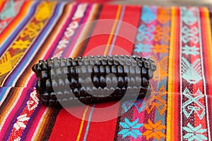 Close up of Maiz Morado, Purple Corn, Zea mays indurata, k\'culli or Black Aztec Corn on a traditional colourful red peruvian photo
