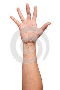 Close up Male asian hand gestures isolated over the white background.