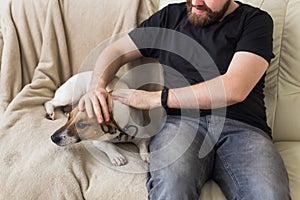 Close-up of male in casual t shirt sitting on couch favourite pet. Happy bearded man with his jack russell terrier. Pet