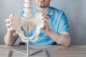 Close up of male doctor& x27;s hand showing iliac crest or hip bones on a skeleton spine model, iliacus muscle attachment