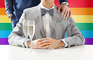 Close up of male gay couple with champagne glasses