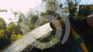 Close up of male hand in glove moving hose while watering grass in backyard. Man spraying water on plant outdoors. Slow
