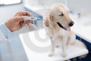 Close up of male hand that holding thermometer